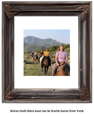 horse trail rides near me in North Gates, New York